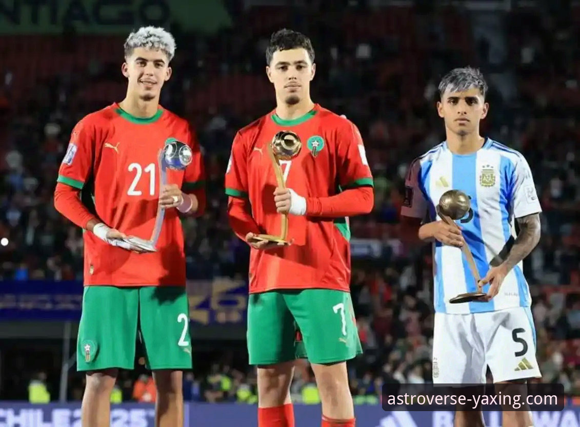 阿根廷世界杯前折损锋线新星，战术拼图缺失引关注